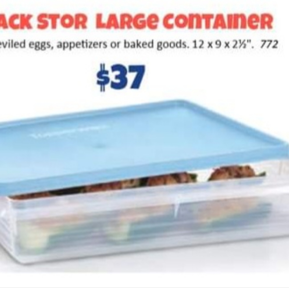 COPY - Tupperware large snack n stor